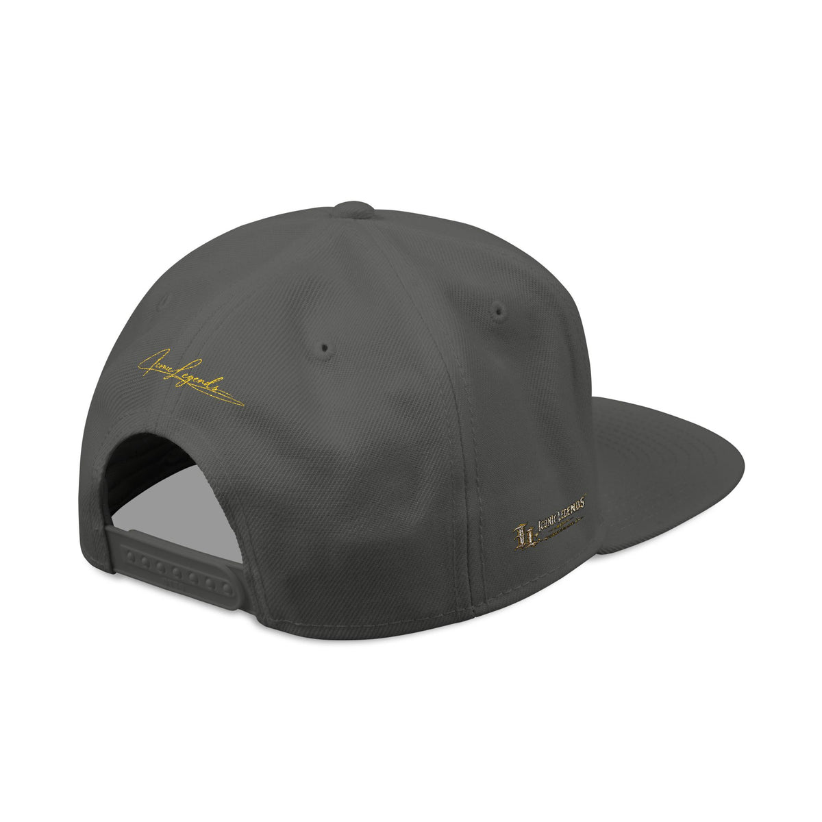 Iconic Legends Fearless Embroidered Snapback Hat