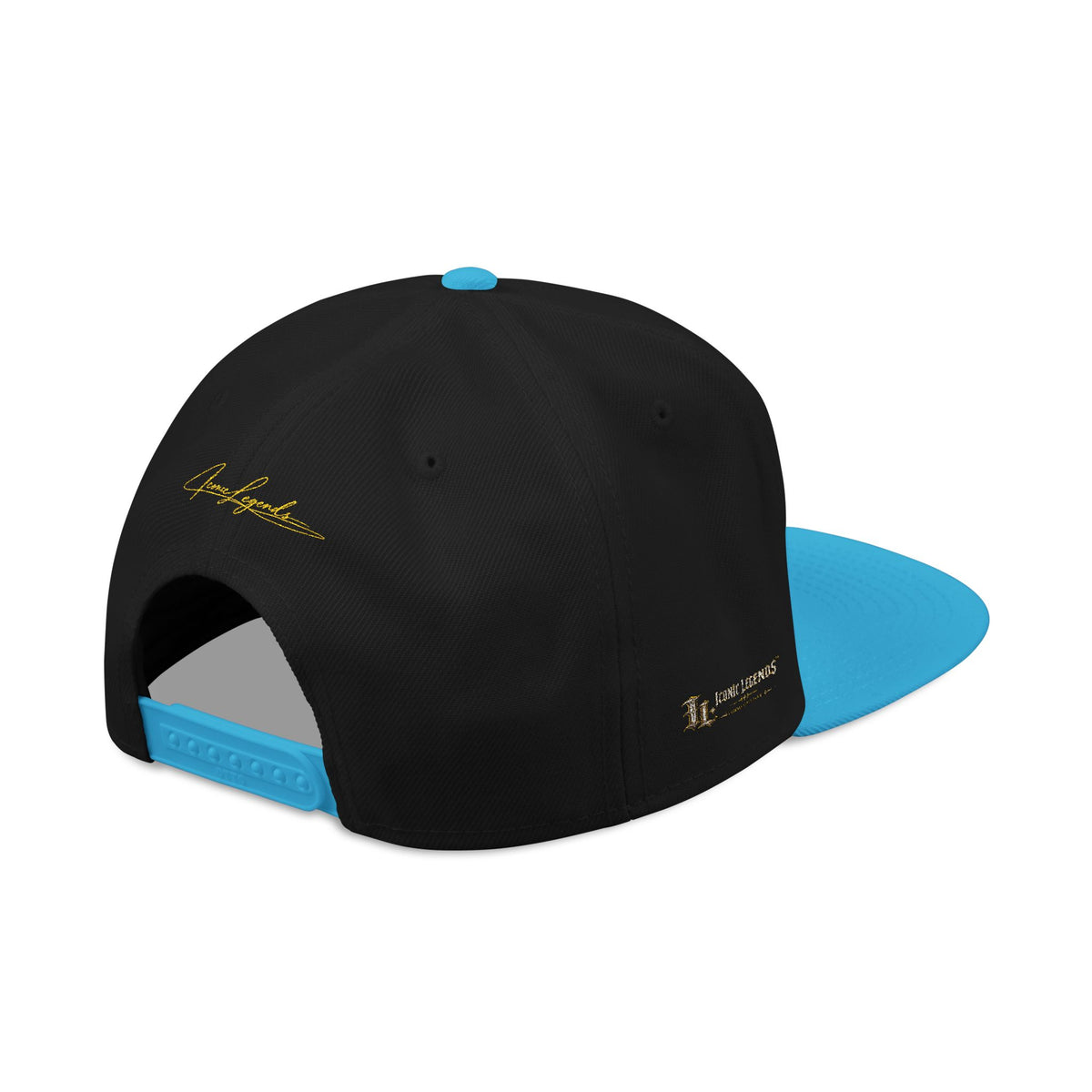 Iconic Legends Fearless Embroidered Snapback Hat